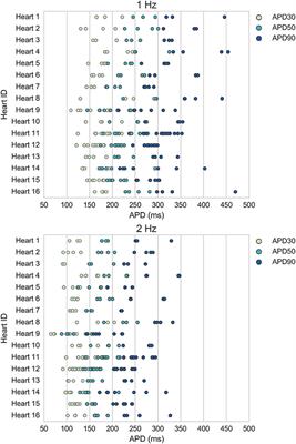 Quantitative Comparison of Effects of Dofetilide, Sotalol, Quinidine, and Verapamil between Human Ex vivo Trabeculae and In silico Ventricular Models Incorporating Inter-Individual Action Potential Variability